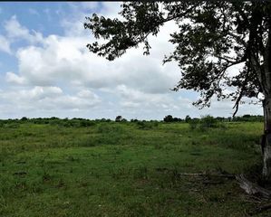 00 Orange Hill Road, Sealy, TX 77474