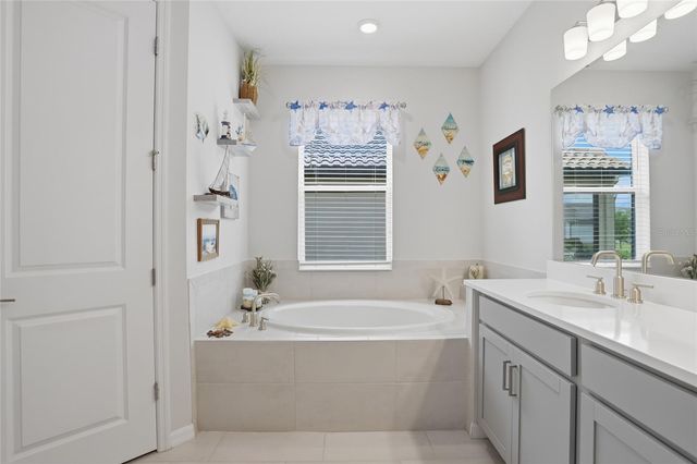 1701 GOBLET COVE STREET, Kissimmee, FL 34746