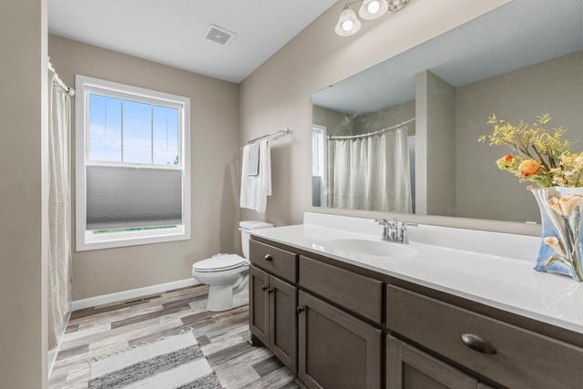 6609 96th Street S, Cottage Grove, MN 55016