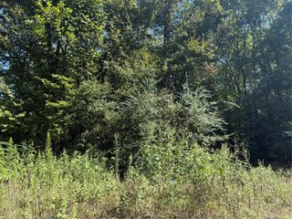 00 Fishermans Trail, Huntsville, TX 77320