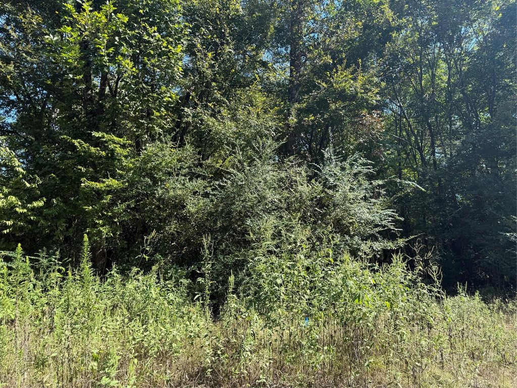 00 Fishermans Trail, Huntsville, TX 77320