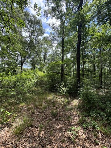 1136 Road 3802, Cleveland, TX 77328