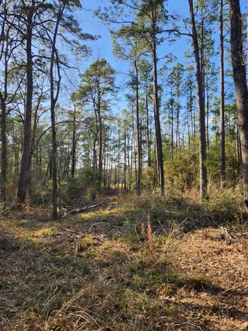 1038 Counts Rd, Point Blank, TX 77364