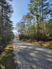 1038 Counts Rd, Point Blank, TX 77364