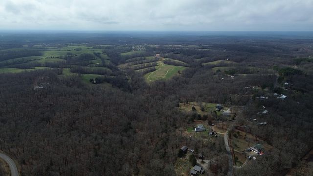 587 Pine Tree Drive, Pineville, MO 64856