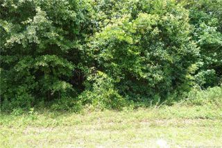NC 41 Highway, Fairmont, NC 28340