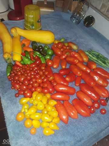 8252 W Chafin Chapel Road, Ellettsville, IN 47429