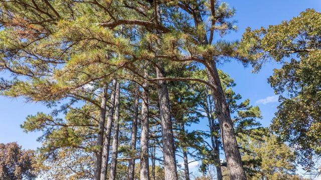 2427 M Highway, Koshkonong, MO 65692