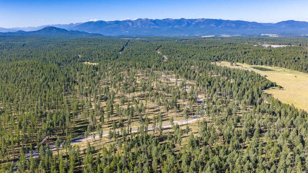 365 Layton Road, Whitefish, MT 59937 photo 4