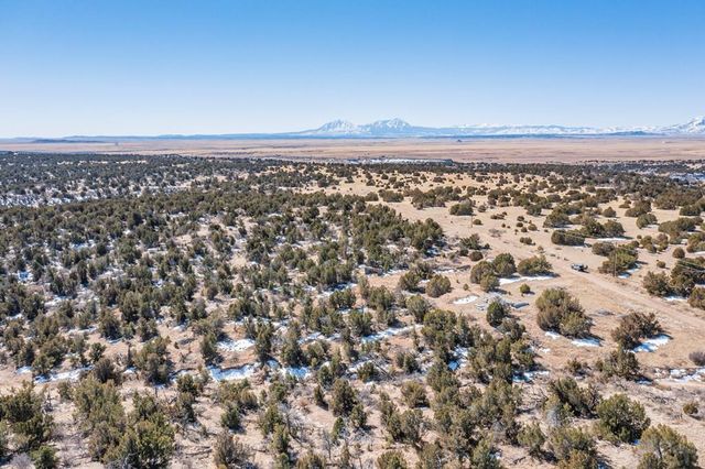 LOT 102 Ghost River Ranch, Rye, CO 81089