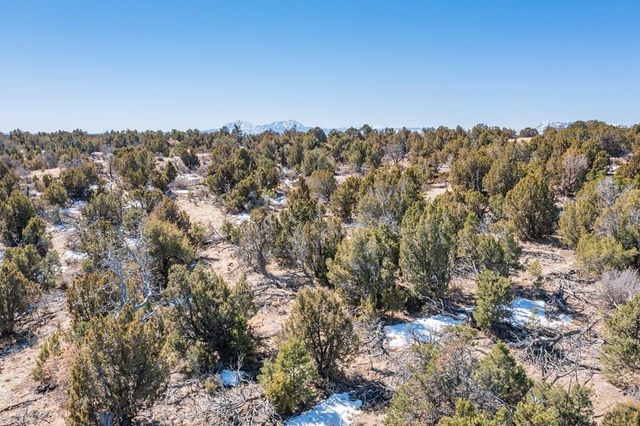 LOT 102 Ghost River Ranch, Rye, CO 81089