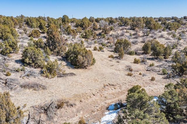 LOT 102 Ghost River Ranch, Rye, CO 81089