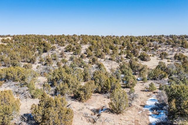 LOT 102 Ghost River Ranch, Rye, CO 81089