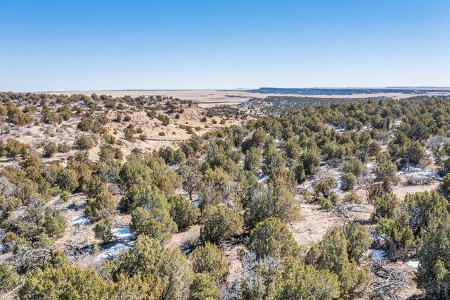 LOT 102 Ghost River Ranch, Rye, CO 81089