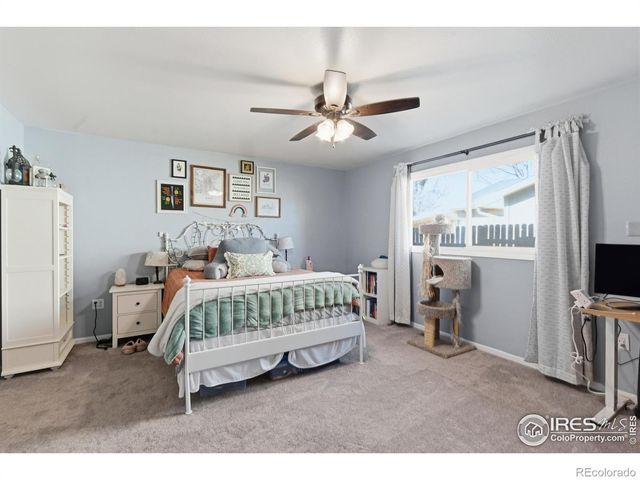 7905 3rd Street, Wellington, CO 80549