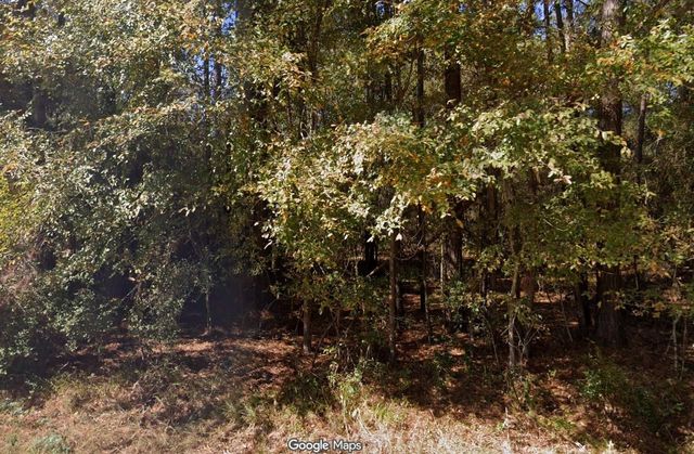 0 Anglers Drive, Trinity, TX 75862