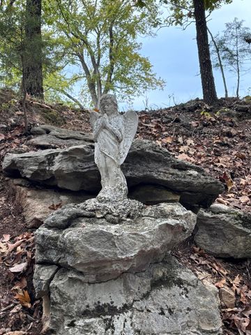 1814 State Hwy 125 S, Sparta, MO 65753