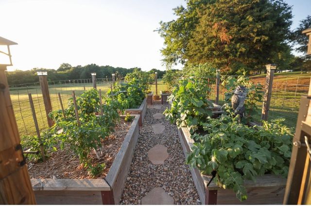 1387 Shadow Lakes Drive, Wills Point, TX 75169