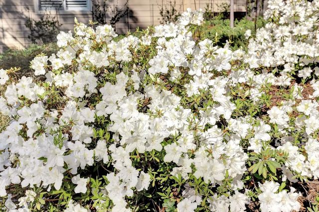 628 Morgan Ranch Dr, Grass Valley, CA 95945