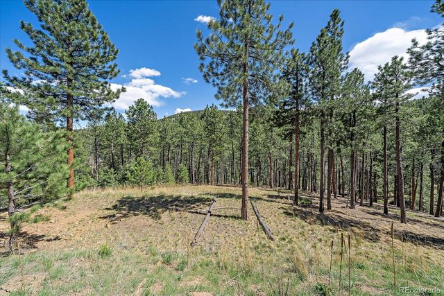 32160 Aspen Meadow Drive, Evergreen, CO 80439