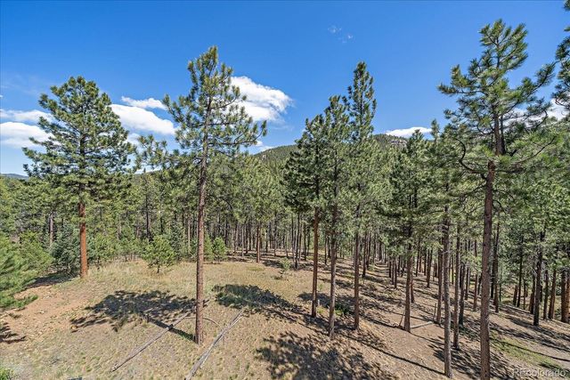 32160 Aspen Meadow Drive, Evergreen, CO 80439