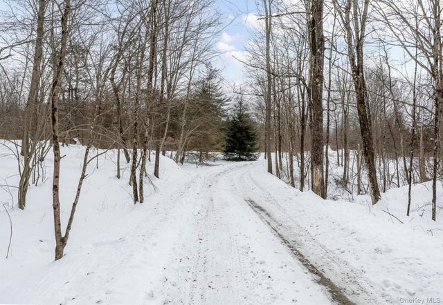 35 Appaloosa Lane, Millbrook, NY 12545