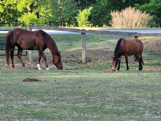 331 Glenwood Drive, Warrenville, SC 29851