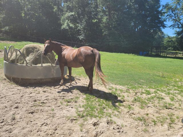 331 Glenwood Drive, Warrenville, SC 29851