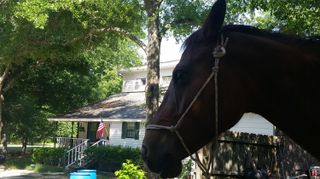 331 Glenwood Drive, Warrenville, SC 29851