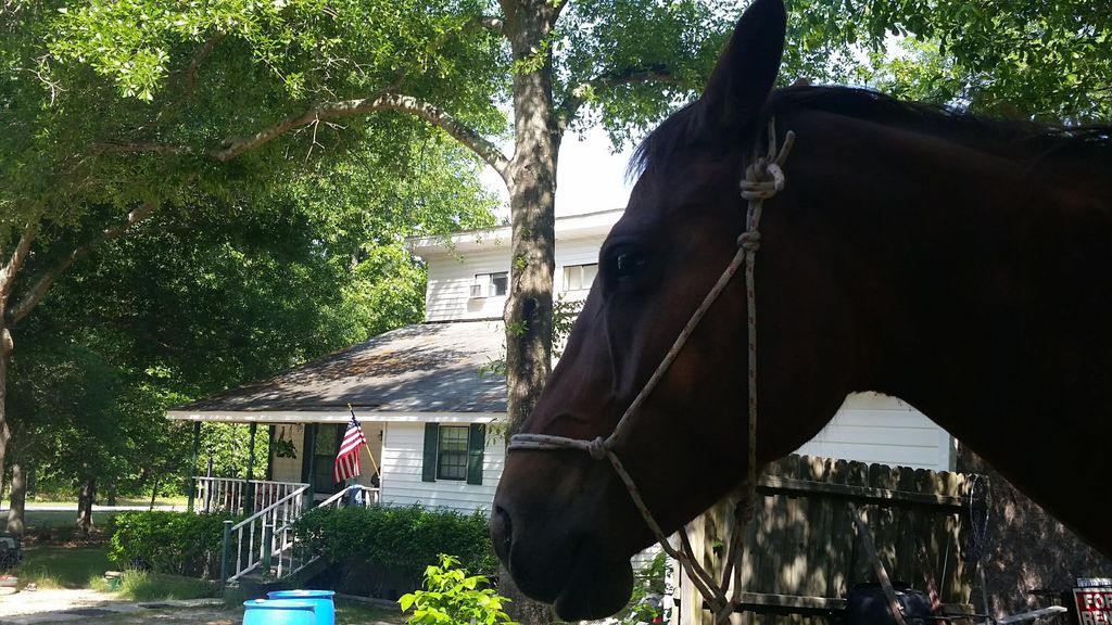 331 Glenwood Drive, Warrenville, SC 29851