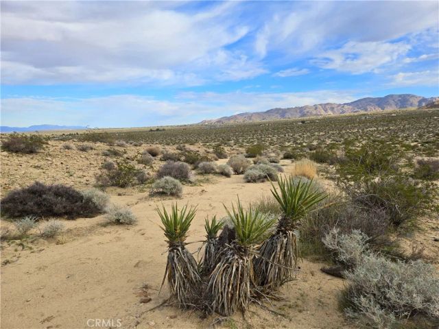 6200 Lee, Joshua Tree, CA 92277