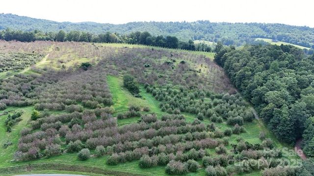 024 FURNITURE Drive, Hendersonville, NC 28792