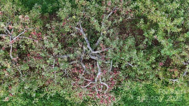 024 FURNITURE Drive, Hendersonville, NC 28792