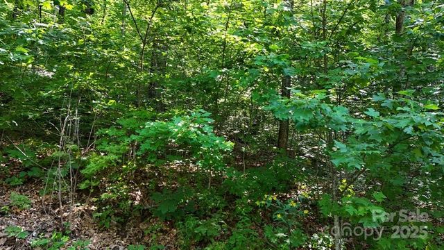 024 FURNITURE Drive, Hendersonville, NC 28792