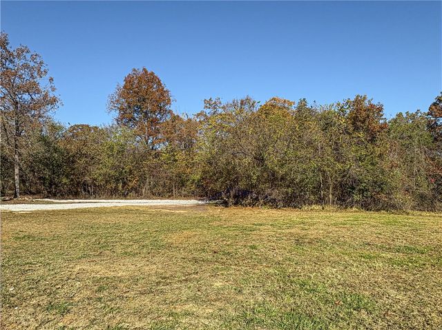 1113 Thousand Oaks Drive, Yellville, AR 72687