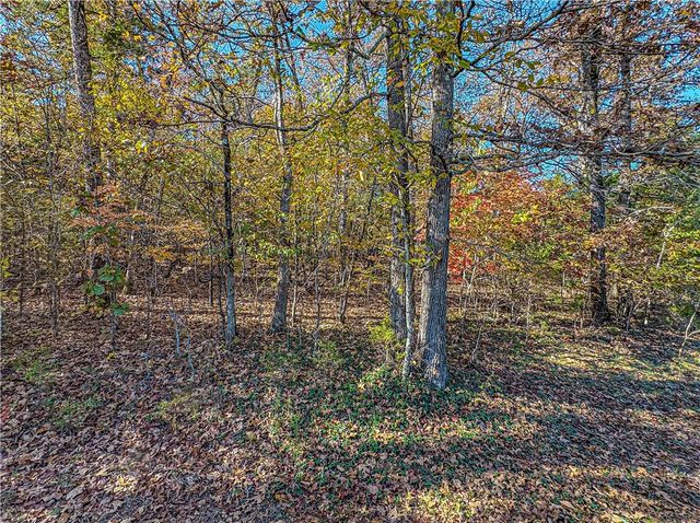 1113 Thousand Oaks Drive, Yellville, AR 72687