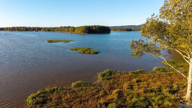 Lot 25 County Road 115, Cedar Bluff, AL 35959