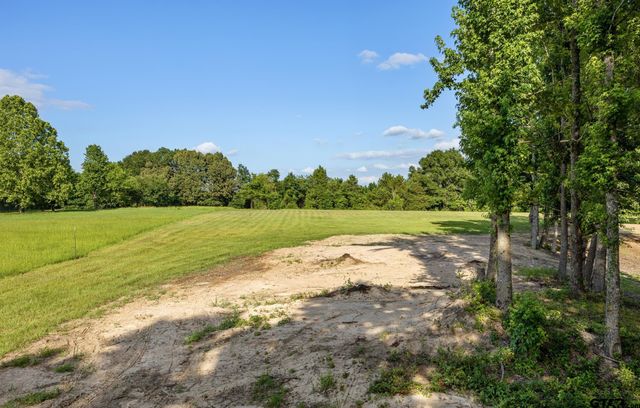 TBD FM 315, Chandler, TX 75758