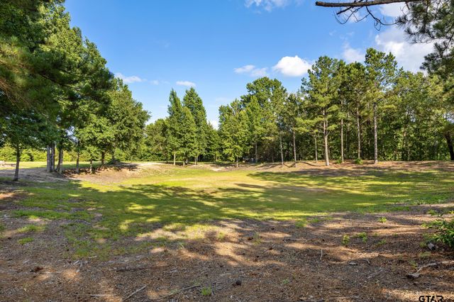 TBD FM 315, Chandler, TX 75758