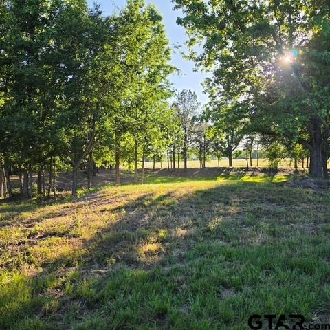 TBD FM 315, Chandler, TX 75758