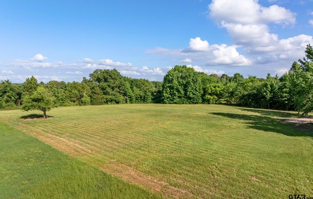 TBD FM 315, Chandler, TX 75758