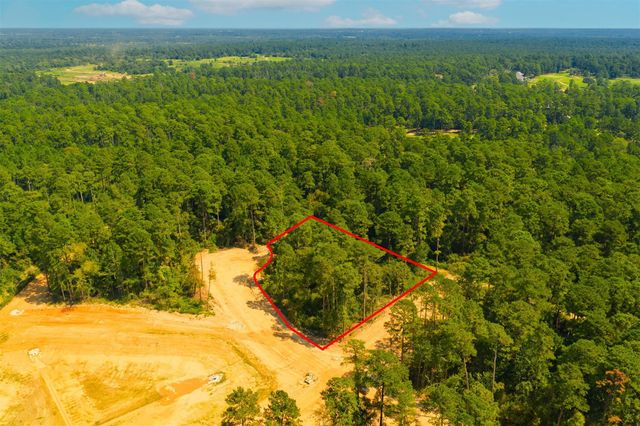 3911 Augusta Drive, Montgomery, TX 77316