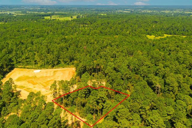 3911 Augusta Drive, Montgomery, TX 77316