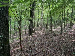 0 Indian Mountain Trail, Hamilton, GA 31811