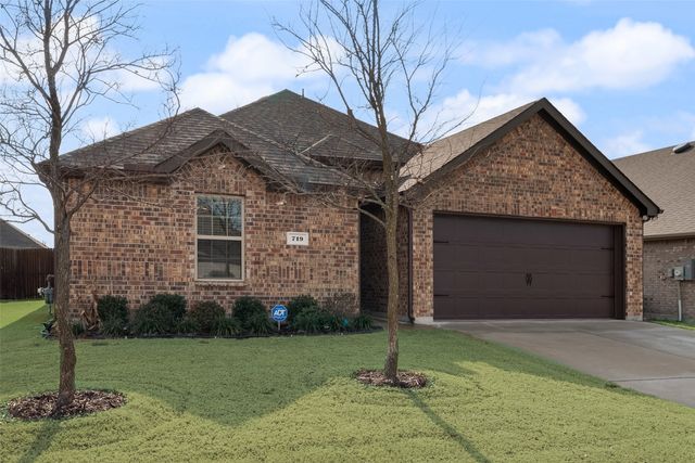 719 Stampede Lane, Princeton, TX 75407