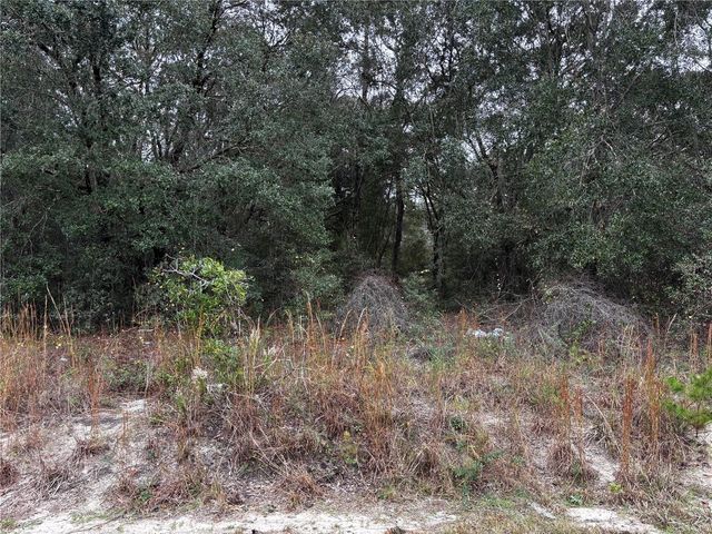 SE 115TH PLACE ROAD, Ocklawaha, FL 32179