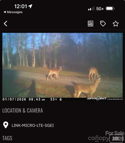 2440 Mount Lebanon Road, Campobello, SC 29322