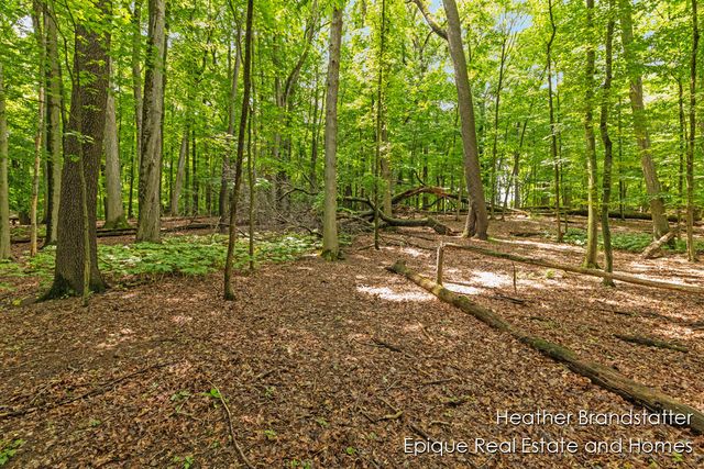 4327 Woodside Oaks Drive, Kentwood, MI 49546