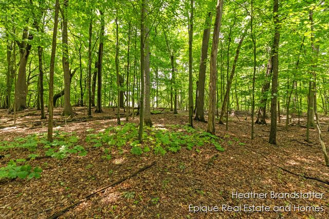 4327 Woodside Oaks Drive, Kentwood, MI 49546