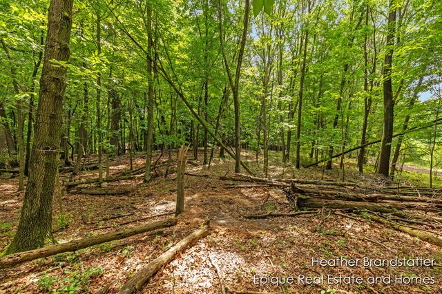 4327 Woodside Oaks Drive, Kentwood, MI 49546